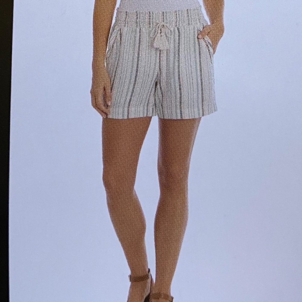 Briggs Striped Shorts